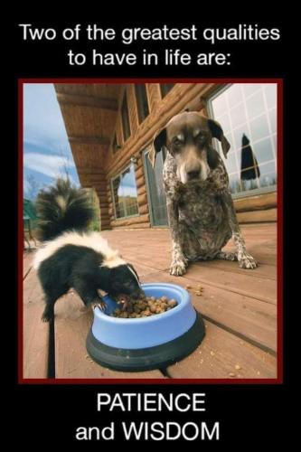 14:36:54 GMT-0500 (CDT)