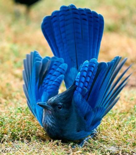 190801149_338642210972792_2228323064064459951_n