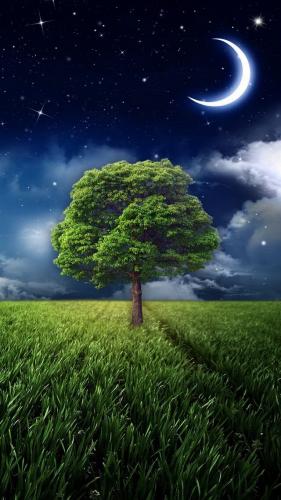 21:28:15 GMT-0500 (CDT)