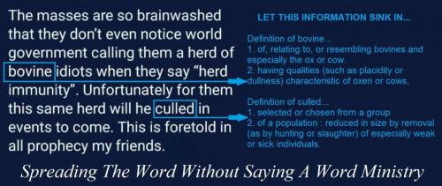 182883079_232281451984897_4922179676399201506_n