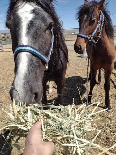 IMG_20210423_123835888