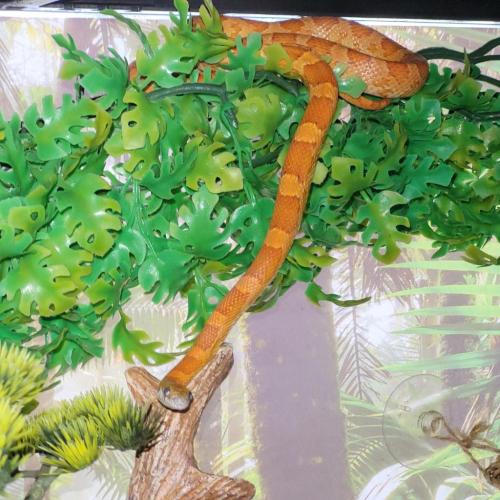 23:00:22 GMT-0400 (EDT)