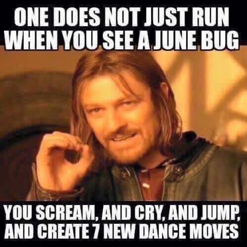 08:40:24 GMT-0500 (CDT).image