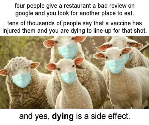 vaccine175