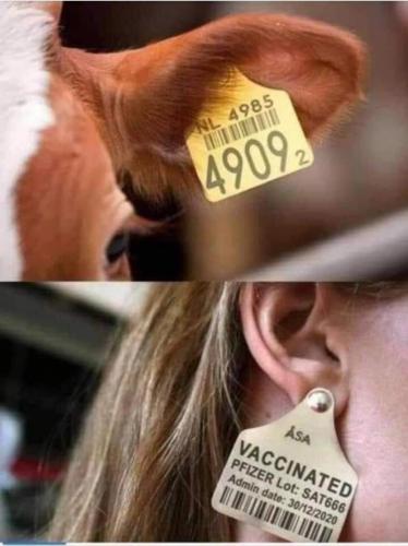 10:51:32 GMT-0500 (CDT)