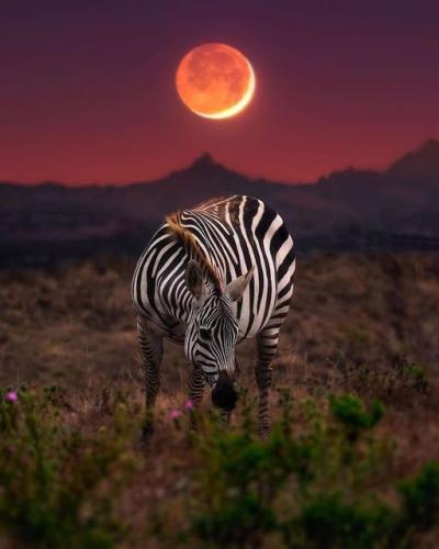 185713464_329742028529477_9162600557781089281_n