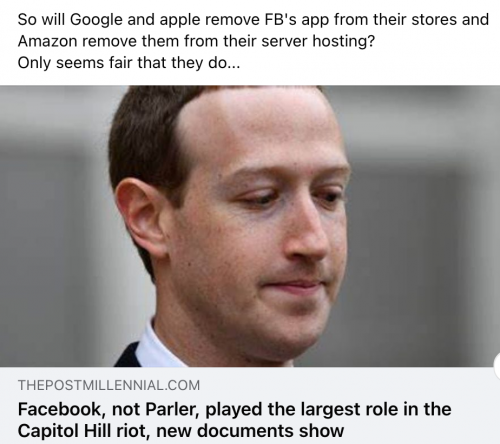 FBPlayedLargestRoleCapitolHillriot