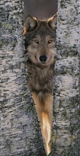 3b5d5b3ebfe58e63ba9571b8ec937d1b