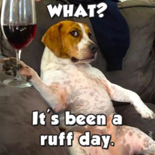 19:36:11 GMT-0400 (EDT)