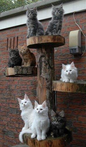 18:35:36 GMT-0500 (CDT)