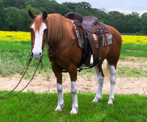 183424807_291359149194294_322217777126385636_n