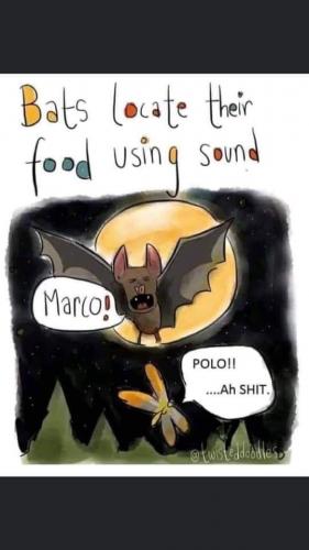 17:27:51 GMT-0400 (EDT)