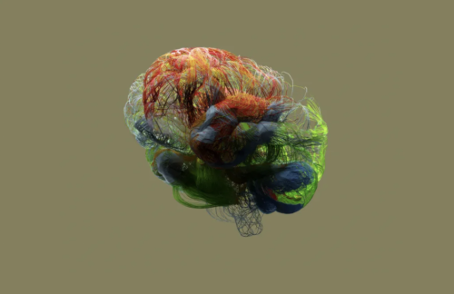 Screenshot_20210401-053052