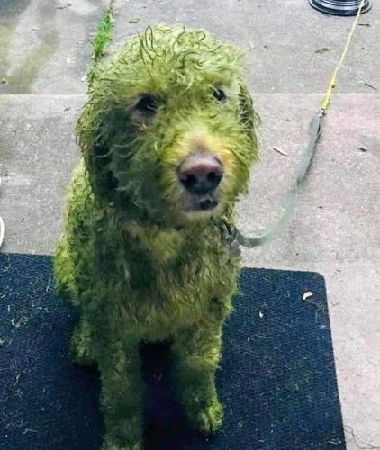 15:08:26 GMT-0500 (CDT)