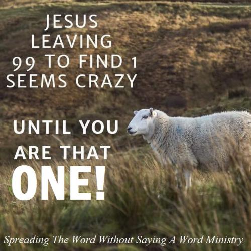 190349600_4133587920032184_6987124013237817008_n