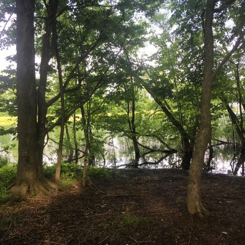 0096F45B-DFF1-46C1-AFF9-6EA8A028E892