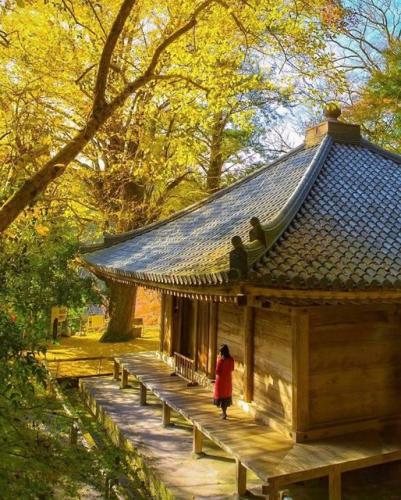 186549923_321270882702254_6019163000987982120_n