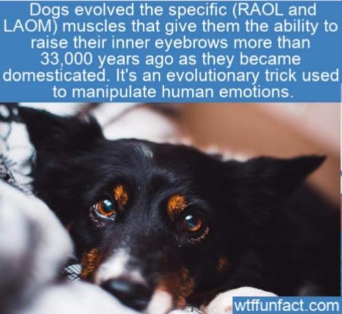 21:06:42 GMT-0500 (CDT)