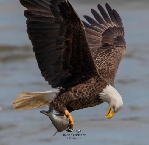 182309475_1393508984338067_1102803065982061344_n