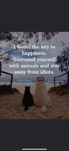 06:10:06 GMT-0400 (EDT)