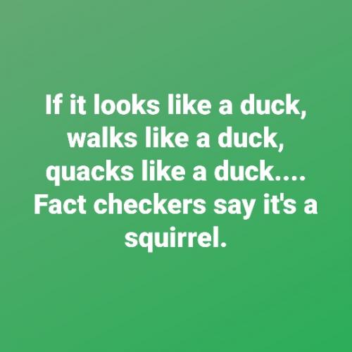 189325152_4075363259187236_7117121467752615601_n