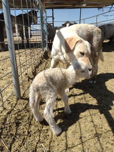 IMG_20210504_110429516