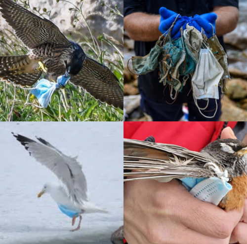 Screenshot_20210525-125101