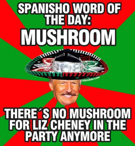 IMG_20210514_135841_247