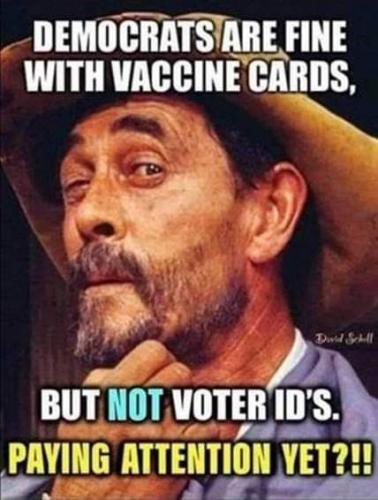 Hypocritical demonKKKrats