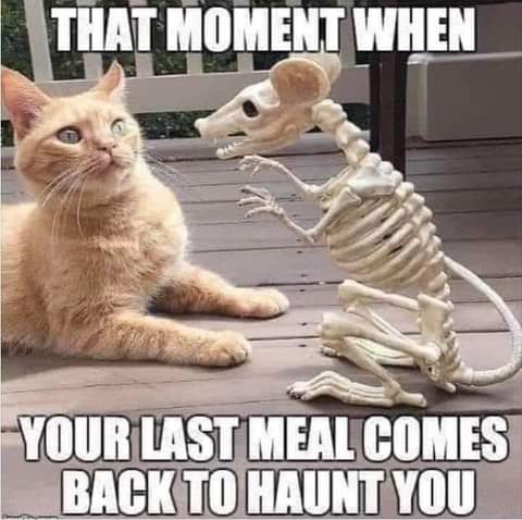 20:18:22 GMT-0700 (PDT)