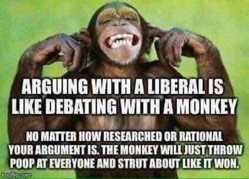Arguing With A Liberal