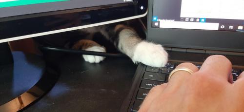 13:14:03 GMT-0400 (EDT)