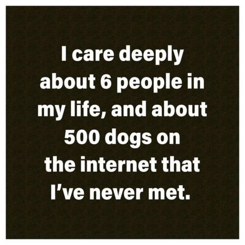 08:26:44 GMT-0400 (EDT)