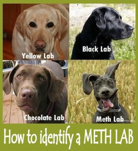 Meth Lab