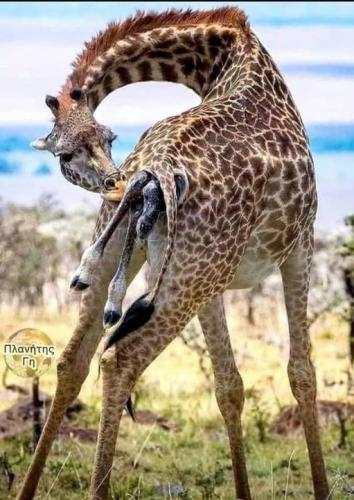 192518920_308082934141846_4665224743481498932_n