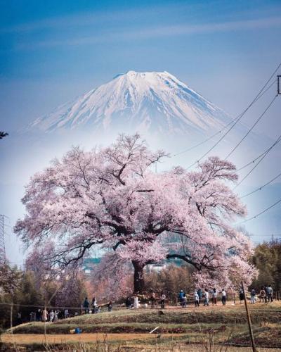 190097136_1057775254747405_1457972968759392365_n