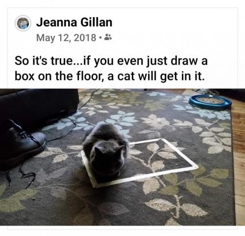 19:43:02 GMT-0700 (PDT)