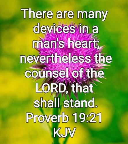 07:08:08 GMT-0700 (PDT)