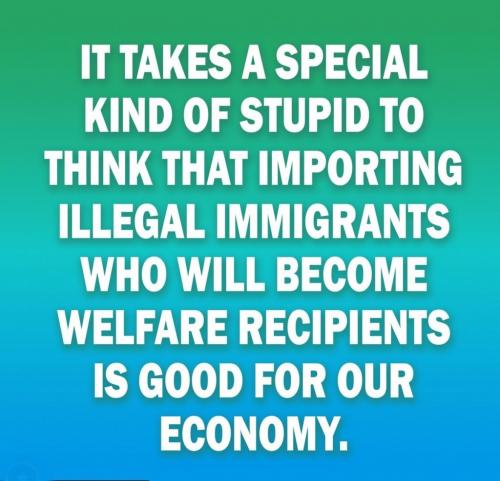 a special kind of stupid-welfare - meme