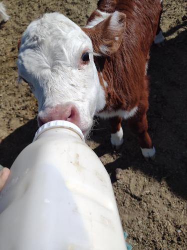 IMG_20210510_084348514