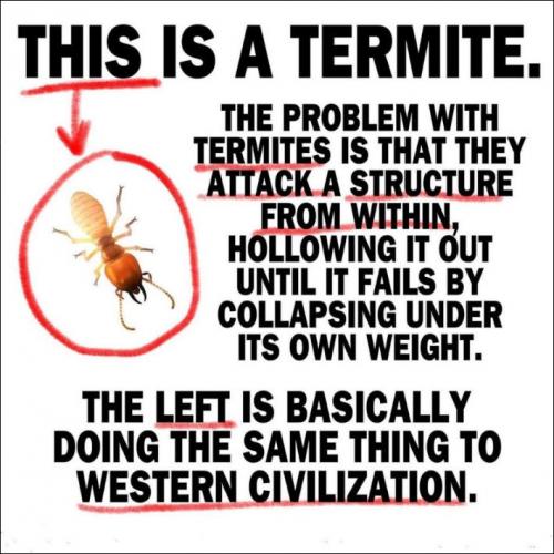 zlibtards233