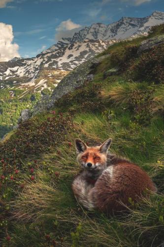 tumblr_f8069d2eb7f7909cdd8ce2d8c5e50b83_97e87571_540