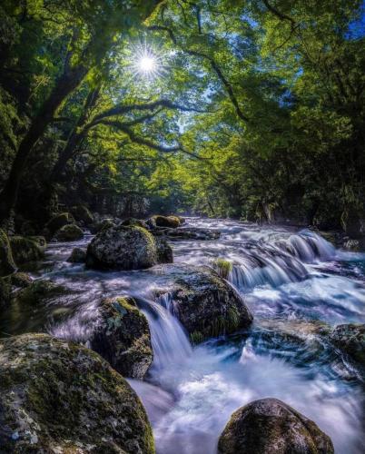 182350876_315352423294100_4450302559378783368_n