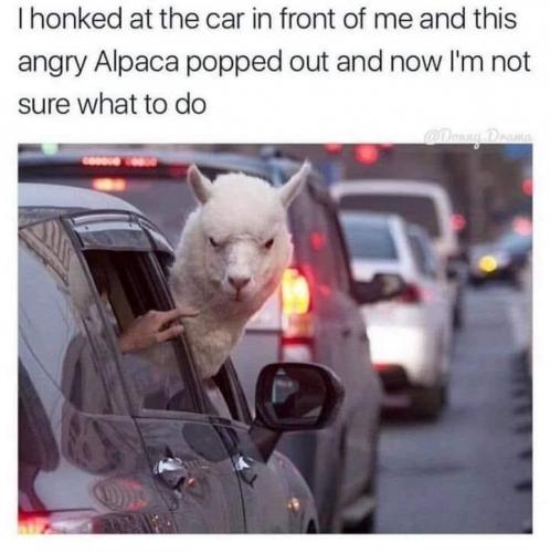 18:46:51 GMT-0400 (EDT)