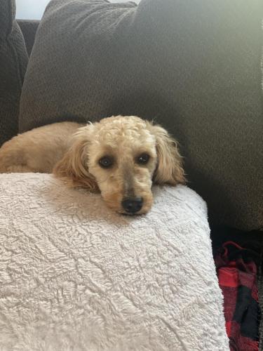 May 20, 2021