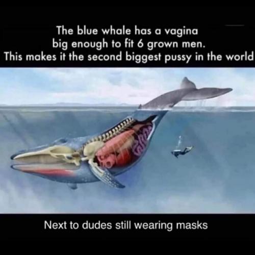 09:06:56 GMT-0700 (MST)