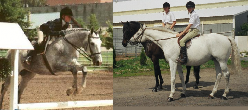 Ziggy, Glacier & kids1