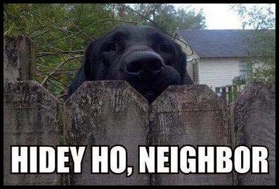 tumblr_8c6761f47a8217875d485248e7c75aa1_1fc69a4a_400