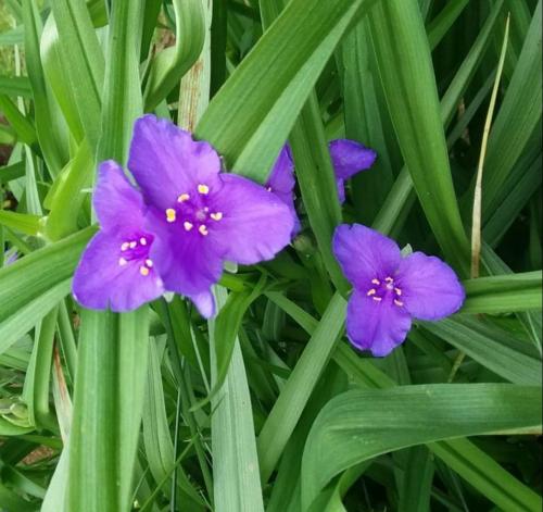 FB_IMG_1620683653836