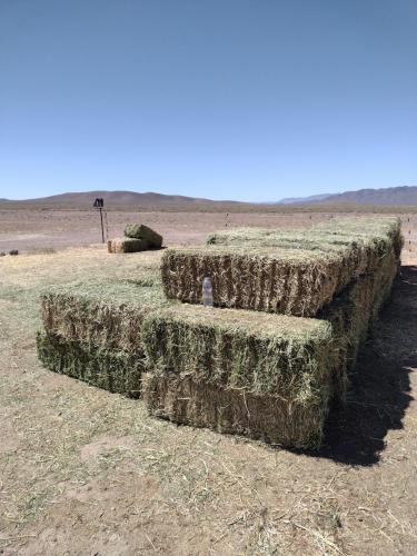 IMG_20210510_113138890